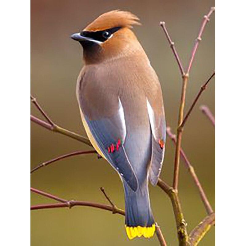 New 5D DIY Diamond Painting Flowers Birds Diamond Embroidery Animal Cross Stitch Full Round Drill Home Decor Manual Gift