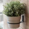 1Pcs Flower Pot Holder Ring Plant Holder Ring Wall Mounted Wall Planter Hooks