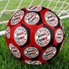 FC Bayern Munich Printed Football | Size 5