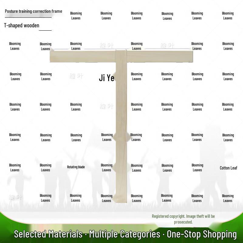 Goose Step Posture Training Corrector Recommended