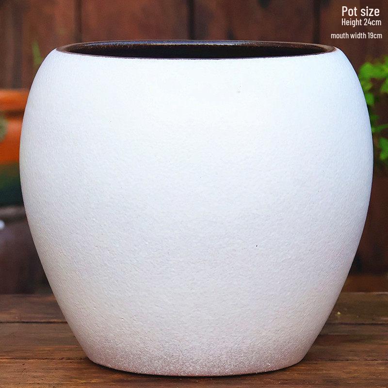 Large Coarse Ceramic Succulent Pot: Tall, Breathable, for Bougainvillea & Birds of Paradise