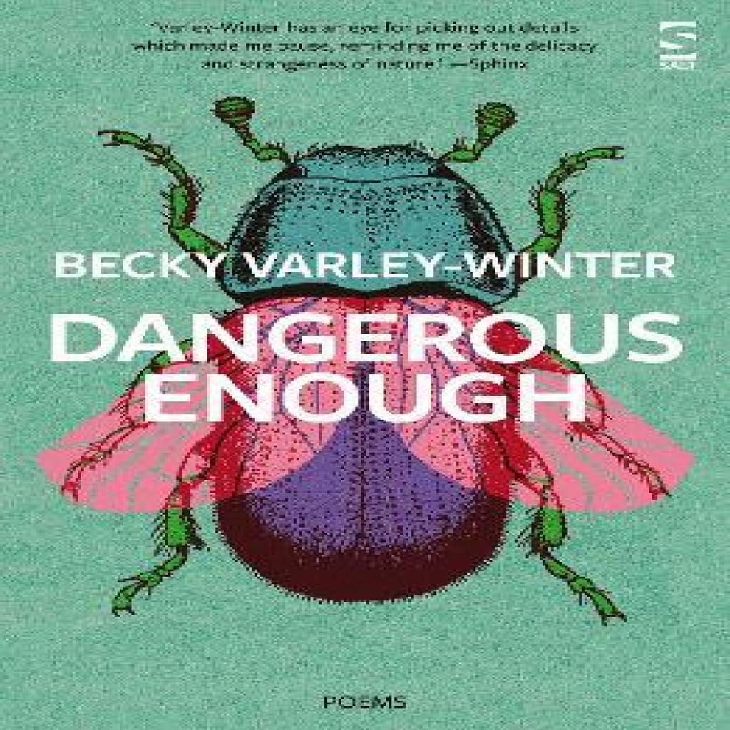 Dangerous Enough by Ms Becky VarleyWinter Paperback Book 9781784632960