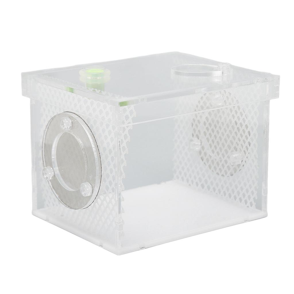Reptile Insect Enclosure Tank Mini Acrylic High Transparency Moisturizing Reptile Insect Breeding Box S