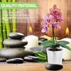 Chuangdi 6 Pieces Faux Phalaenopsis Orchids Leaves Artificial Orchids Leaves Green Leaf Plants Green Faux Leaf Latex Cymbidium Stems for Flowers