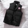 Autumn and Winter Korean Version Sleeveless Warm Cotton Clothing Men's Casual Cotton Clothing