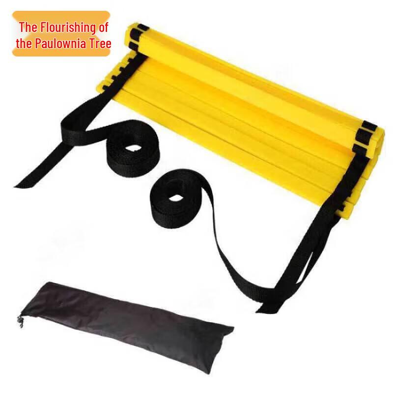 Agility Training Ladder