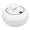 Mini Humidifier Cute Cat Sculpture Portable Quiet Desktop Air Humidifier for Home Office USB Plug