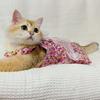 Floral Skirt Printed Dog Dress Princess Style Pet Suspender Skirt Sweet Cat Dress  Dog Clothes