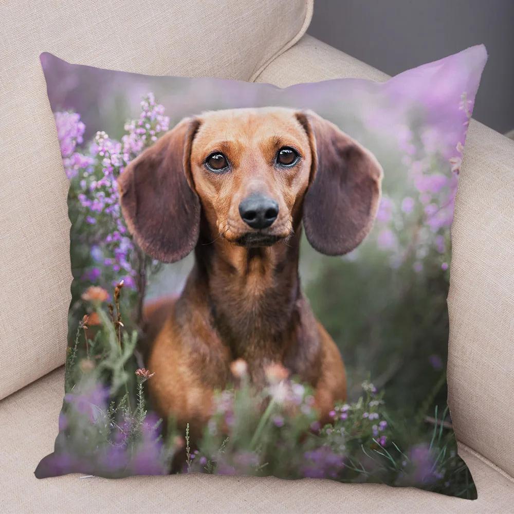 Mini Dackel Hund Kissenbezug Dekor Haustier Tier Kissenbezüge Superweicher Plüsch Kissenbezug für Sofa Zuhause Kinderzimmer 45x45cm