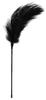 Teasing Feather Duster 56cm Black - EasyToys Fetish Collection - Whips, Crops & Feather Dusters