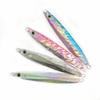 Slow Jigging Double Hook Hard Bait Iron Plate Lure for Freshwater and Saltwater Fishing