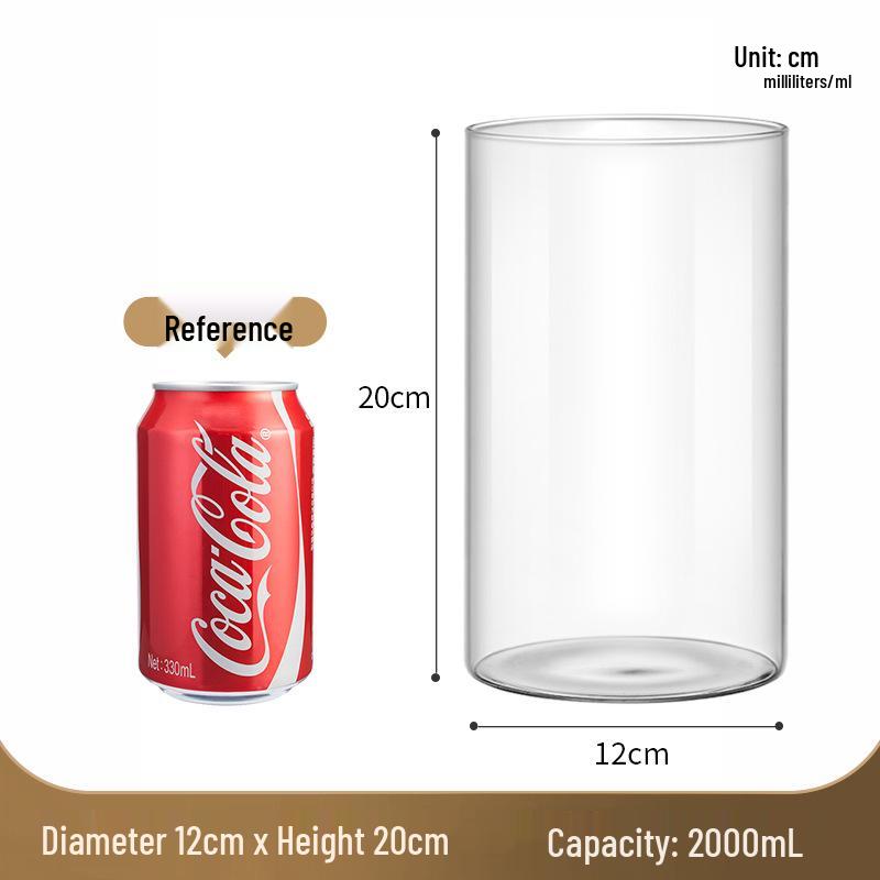 Straight Cylinder Glass Vase for Pothos and Hydroponic Decor