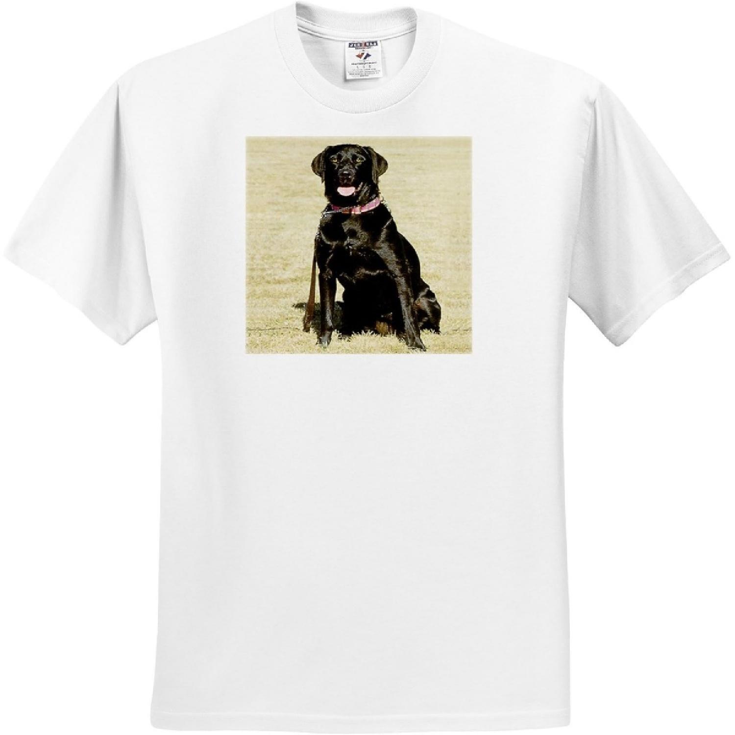 3dRose, Labrador Retriever, T-Shirt(1) XXXXXL белый