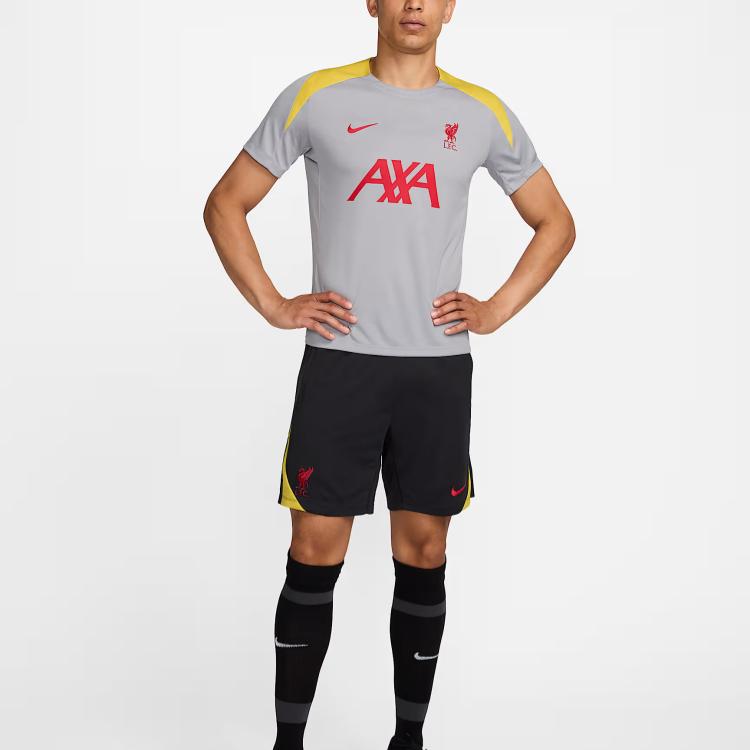 Nike Liverpool Dri-Fit FW24 F.C. Strike Third Knit Pullover Short Sleeve Football Shirt Men tops Light-Smoke-Grey FQ2611-078