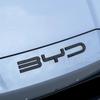 Zubehör Auto Frontstoßstange Emblem Abzeichen Aufkleber Schwarzes Carbon Logo Refit Aufkleber Für BYD SEAl EV DMi 2023 2024 2025