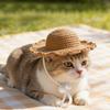 Cappello di Paglia per Cane Traspirante Copricapo per Cucciolo Cappello di Paglia Estivo per Gatto per Genitori di Animali Amanti degli Animali Scarpe da Ginnastica Spiaggia Parco Passeggiata Escursionismo