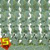 2.2M Artificial Eucalyptus Garland Green Artificial Bulk Eucalyptus Vine Plant for Wedding Arch Wall Household Garden Decoration