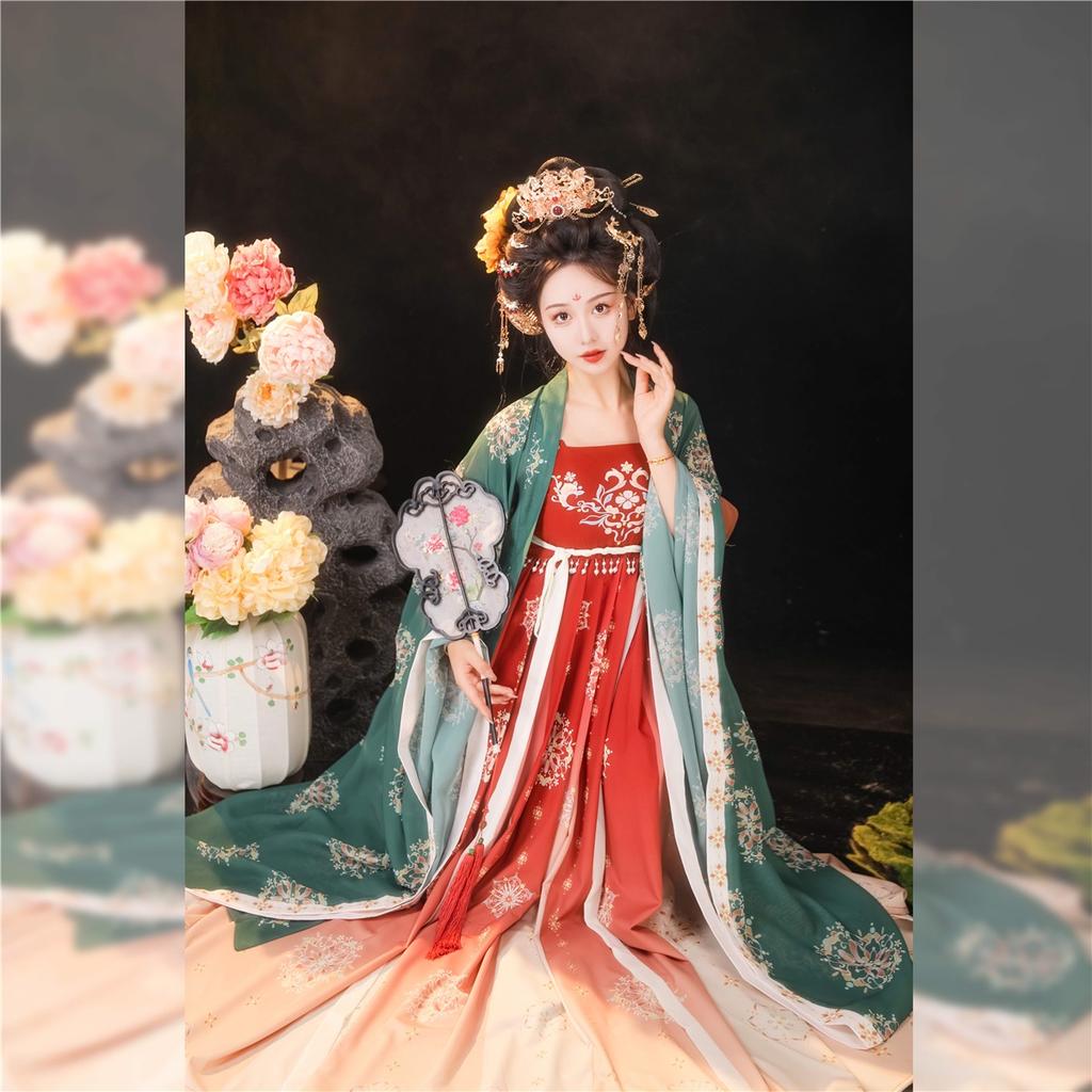 Китайский стиль династии Тан, платье HE ZI, женский костюм Hanfu, повседневный костюм с вышивкой