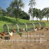 Rainproof Outdoor Free-Range Chicken Run and Coop Tunnel
