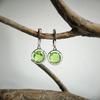 Silberohrringe mit Chrysolith 6.575ct (60002469)