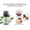Yousheng 10ml Essential Oil Permeable Calm Emotion Non-Irritating Water Soluble Rose Diffuser Oil for Indoor