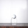 Modern Glass Coffee Bean and Tea Storage Jar with Cork Stopper