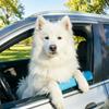 Window Dog Chin Rest, Soft Foam Cushion, Car Dog Chin Cushion, Safe Comfortable Rides, Waterproof Car Dog Accessories for Travel Road Trip Reduces