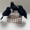 3pcs Halloween Artificial Crows, Halloween Small Statues, Black Crow Decorations, Halloween Haunted House Horror Decoration