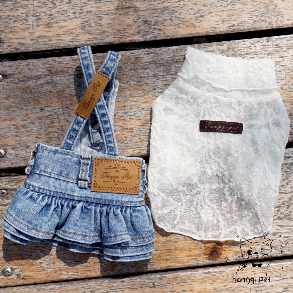 Tangqi Japon Modası Yün ve Dantel Kedi ve Köpek İçlik