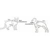Cotton Sphinx Cat Dog Clothes For Small Puppy Hairless Cat Sweatshirt Clothing Stripe Pet Costume Kittens Jumpsuit Autumn Winter