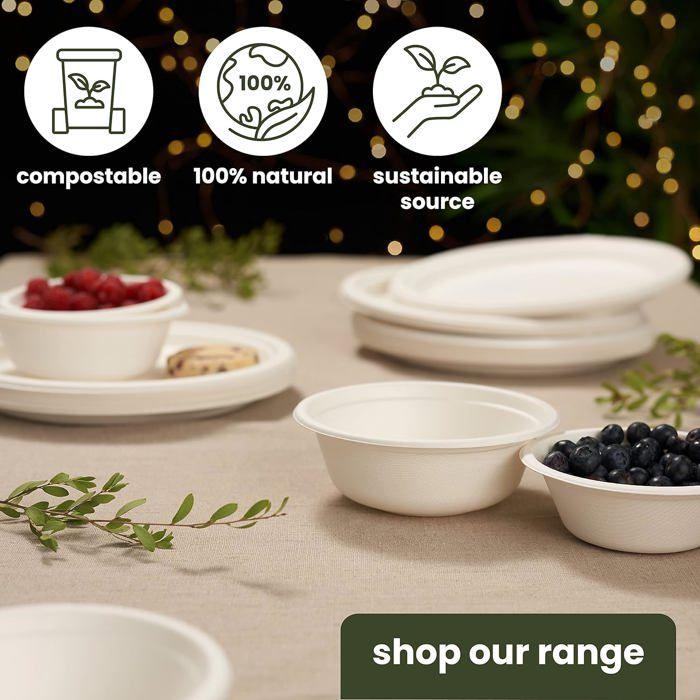 Assiettes Biodégradables - HAAGO - 100 Grandes Assiettes - 26cm - Écologiques - Rigidité Supérieure