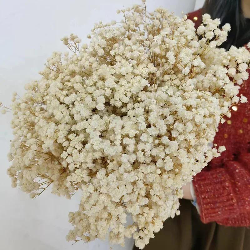 90g Dried Baby Breath Flower Bouquet Natural Dry Flowers Gypsophila Valentines Day Wedding Decoration Home Table Christmas Decor