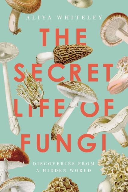 Lavishlivings2 The Secret Life Of Fungi : Discoveries From A Hidden World