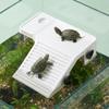 Non-Slip Basking Platform Suction Cup Turtle Climbing Slope Reptile Ramp  Pet Habitat