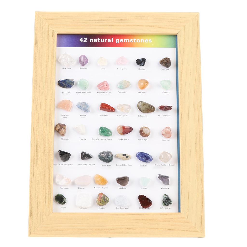 Rocks Collection Set 42 Types Multlfunctional Geography Gemstones and Crystals Set for Education