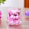 Dried Flowers Insulated Coffee Mug Double Wall Clear Glass Heat Resistant Tea Cup for Water