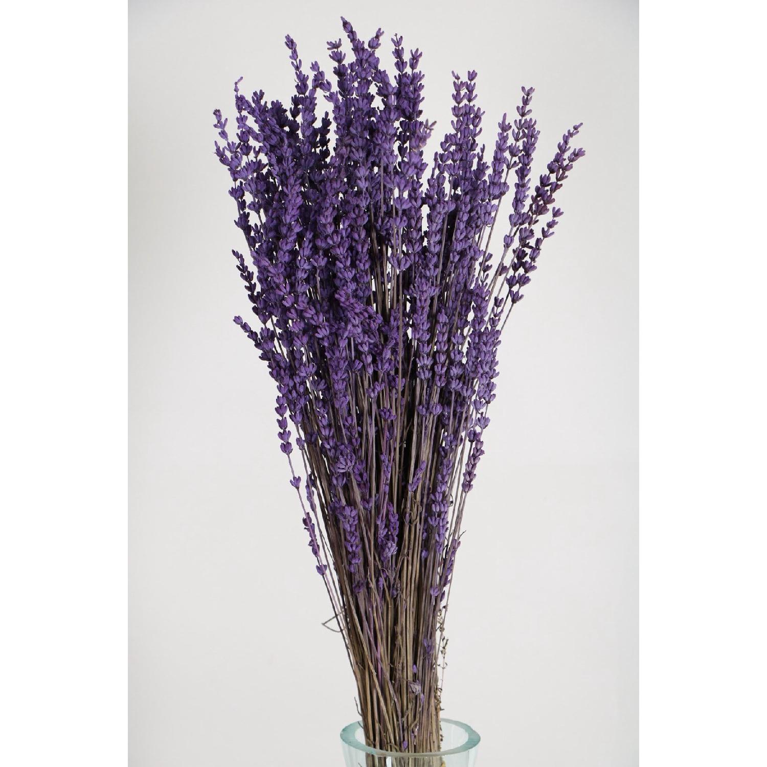 

Shock-proof Spill-resistant Real Lavender Bunch Purple (100 Gr) 6867seri фиолетовый