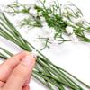 Artificial Gypsophila 12Pc White Silk Flower for Wedding, Party, Bride, Office Decor