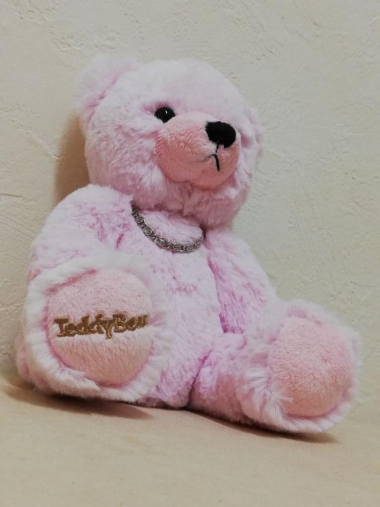 [USED] Crossfor Official Brand Authentic Teddy Bear Teddy Bear Size M