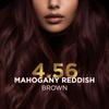 BBLUNT Salon Secret High Shine Conditioning Hair Colour Mahogany Reddish Brown 130G Pack Of 1
