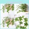 Simulated Pierisjaponica Green Plant Landscape Simulation Tree Decoration Indoor
