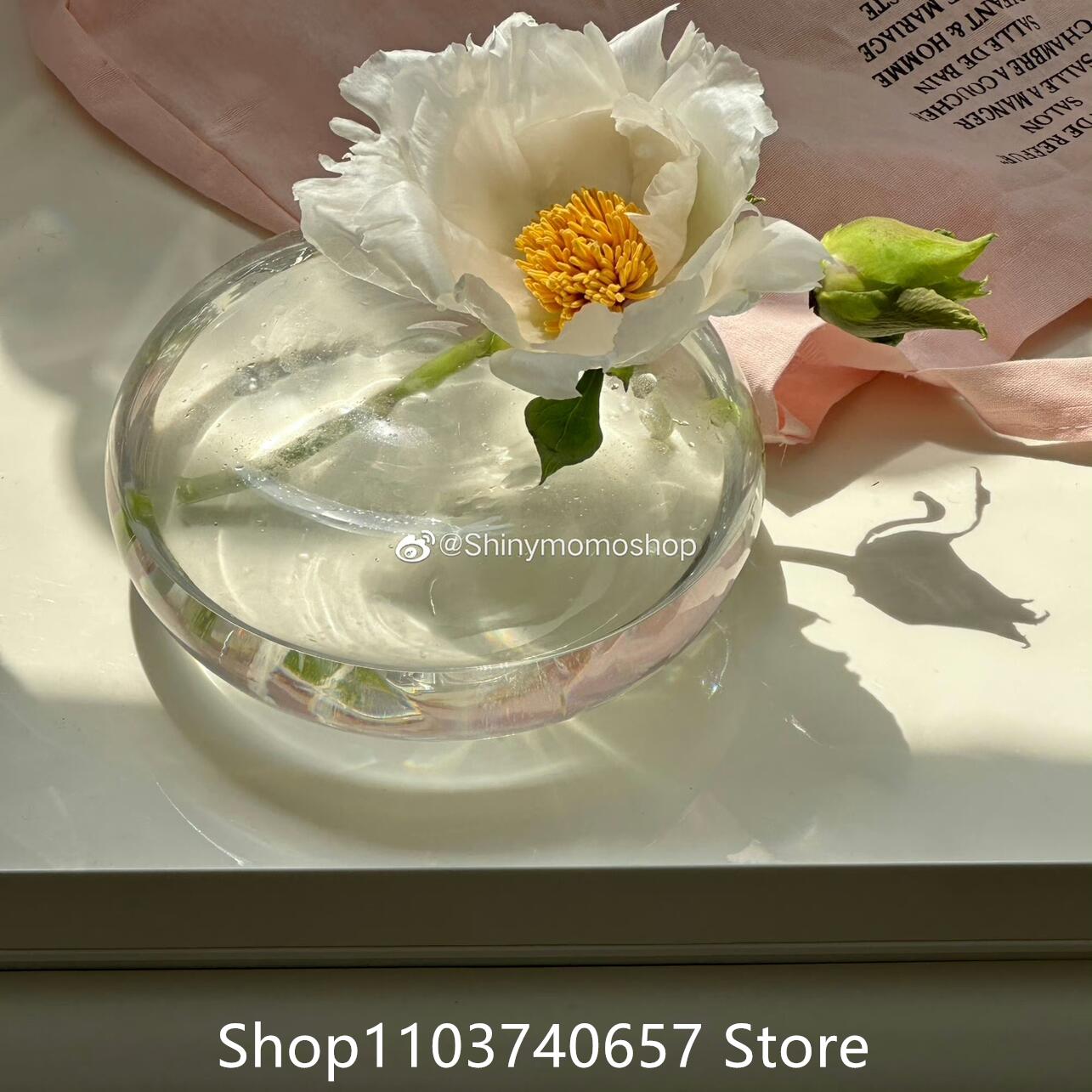 

French Glass Ball Flat Glass Vase Transparent Circular Flower Floar Green Plants Bottle Pots Japanese Flower Vase Medium