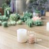 3D Cactus Succulents Silicone Mold For Jelly Chocolate Ice Making Cake Baking Gypsum Wax Concrete Candle DIY Resin Art Mould