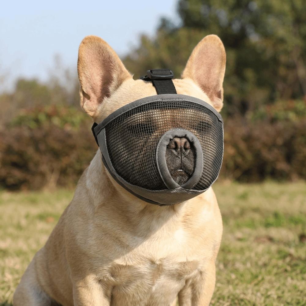 Soft Short Snout Muzzle Breathable Anti Bite Muzzle Durable Flat Face Muzzle  Bite Prevention