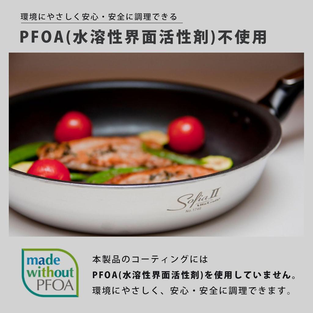 Vita Craft Sophia II 20cm IH-compatible frying pan (model number 1740)