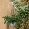 1/2Pcs Suspended Plant Hooks, Heavy-duty Plant Hooks for Indoor Lighting Fixtures, Flower Racks, Flower Pots,Wind Chimes