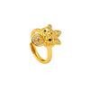 National Trend Ancient Fasha Ring Retro Coin Pixiu Index Finger Ring for Women