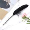Stainless Steel Black Feather Dip Pen Vintage Fountain Pen for Business Office Birthday Gifts