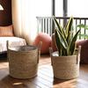 Stylish Household Storage Containers Woven Seagrass Plant Pot with Handle, Built-in Plastic Film Lining Natural Rattan Pots Basket, Flower Basket for
