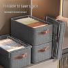 Cationic Steel Frame Wardrobe Storage Box for Clothes and Pants Organizer